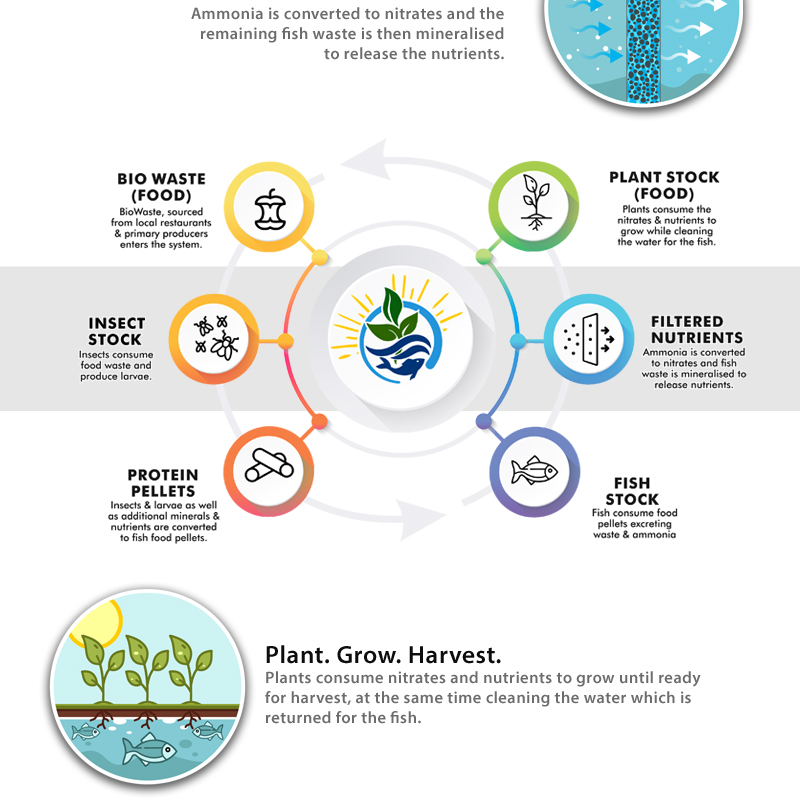 portfolio-small-mizu2